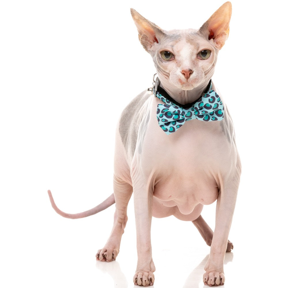 FuzzYard Cat Collar, Bandana & Bowtie Fashion Pack (Wild One Aqua)