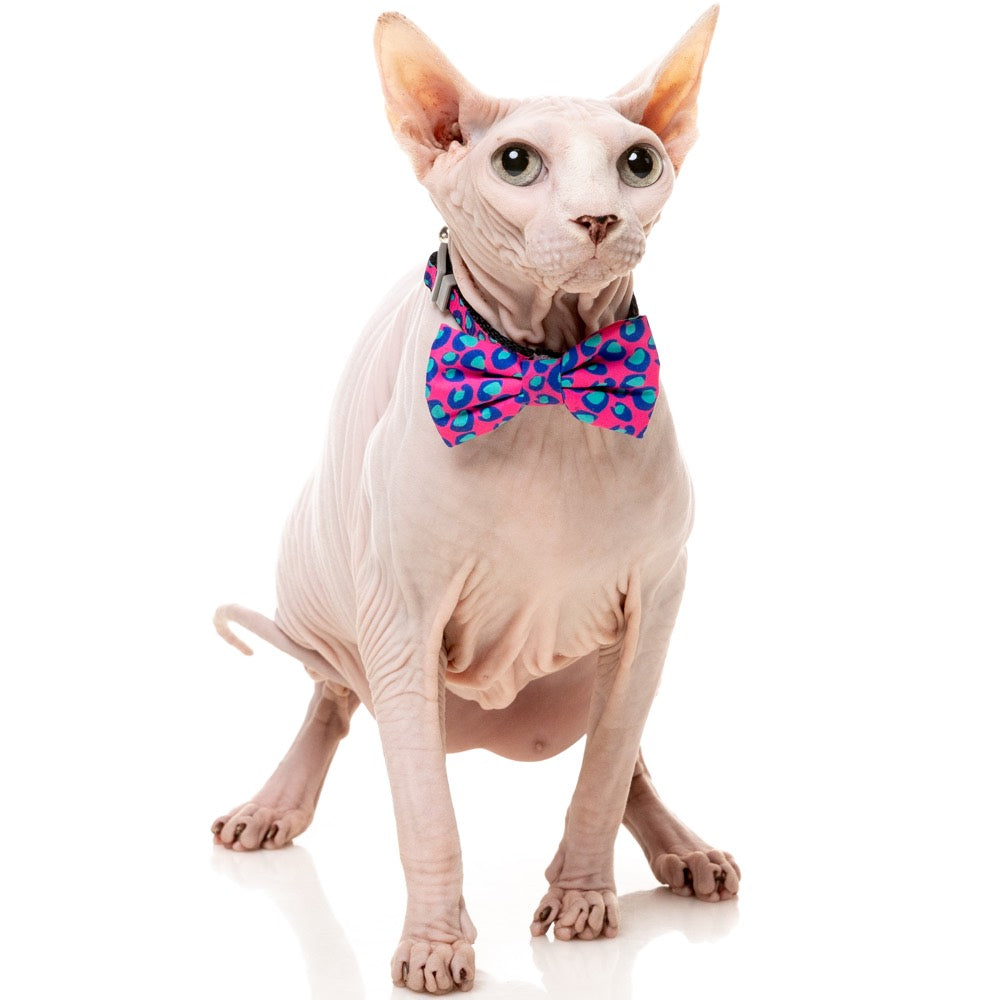FuzzYard Cat Collar, Bandana & Bowtie Fashion Pack (Wild One Bubblegum)