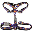 FuzzYard Cat Harness & Leash Walking Set (Caturday Night Fever)