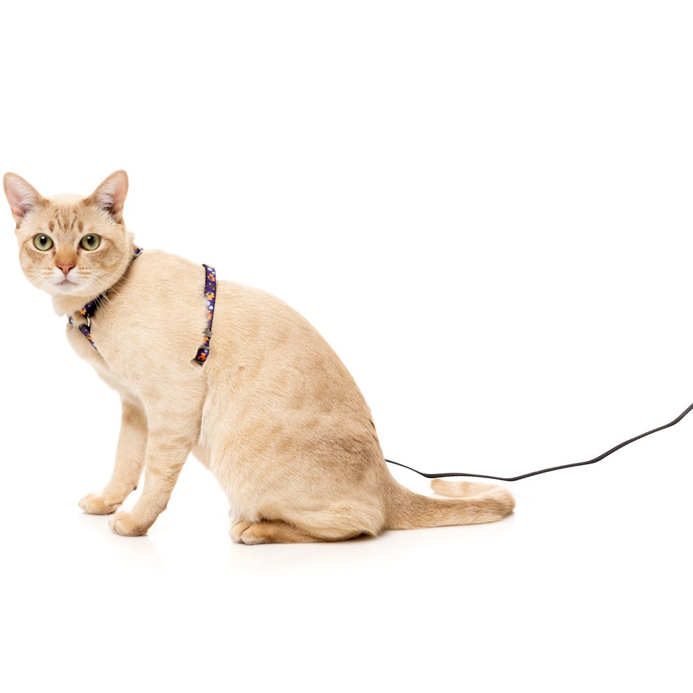 FuzzYard Cat Harness & Leash Walking Set (Caturday Night Fever)