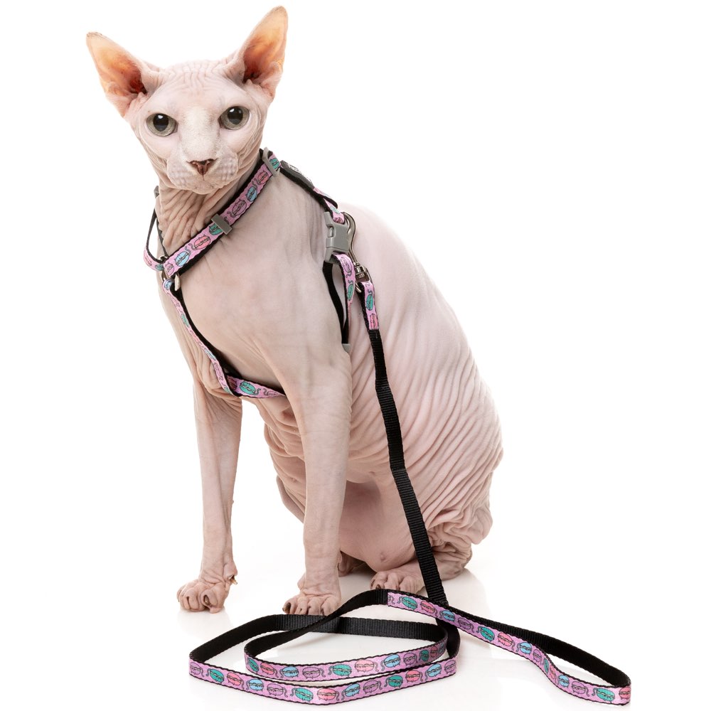 FuzzYard Cat Harness & Leash Walking Set (Meowcarons)