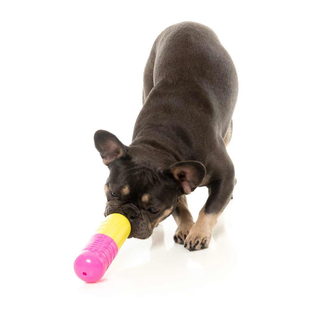 FuzzYard Chill Pill Interactive Treat Dog Toy