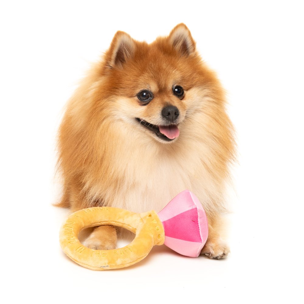 15% OFF: FuzzYard Diamond In The Ruff Ring Dog Toy