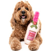 15% OFF: FuzzYard Dog Day Rose Plush Dog Toy