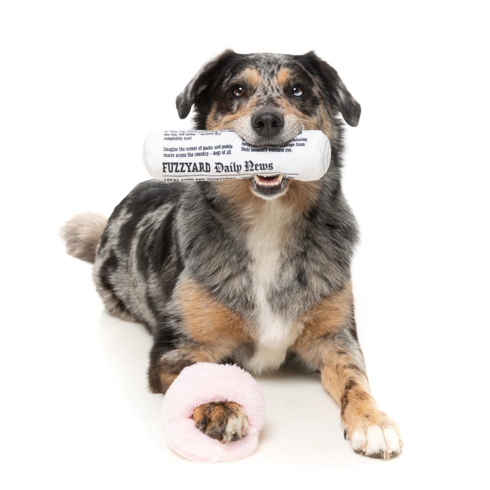 15% OFF: FuzzYard Fetch My Slippers & Paper 2 Pcs Dog Toy