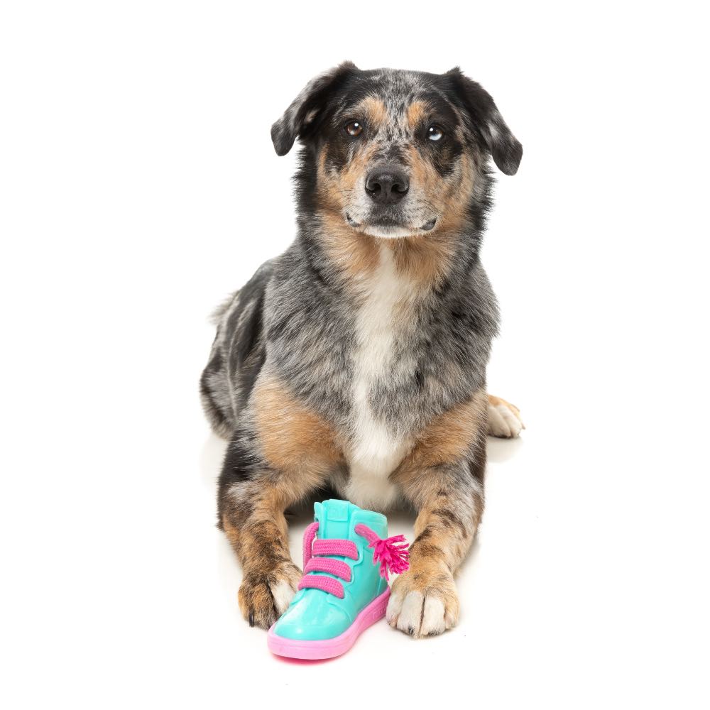 FuzzYard Fresh Kicks N' Licks Interactive Dog Toy