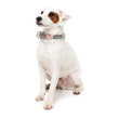 FuzzYard Fresh Zest Dog Collar