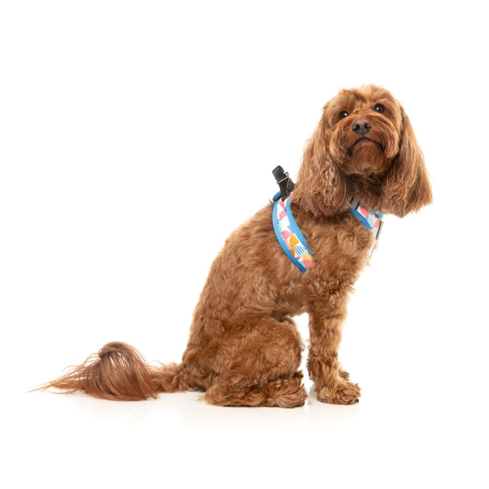 FuzzYard Fresh Zest Step-In Dog Harness
