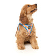 FuzzYard Fresh Zest Step-In Dog Harness