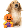 15% OFF: FuzzYard Halloween Jack-O Chan Plush Dog Toy