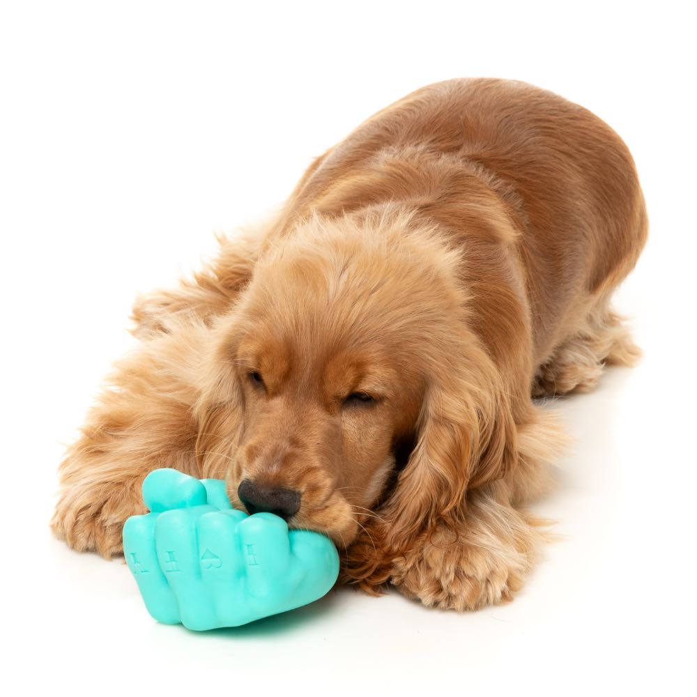 FuzzYard Knuckle Sandwich Interactive Treat Dog Toy