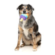 15% OFF: FuzzYard Love Icy Pole Dog Toy