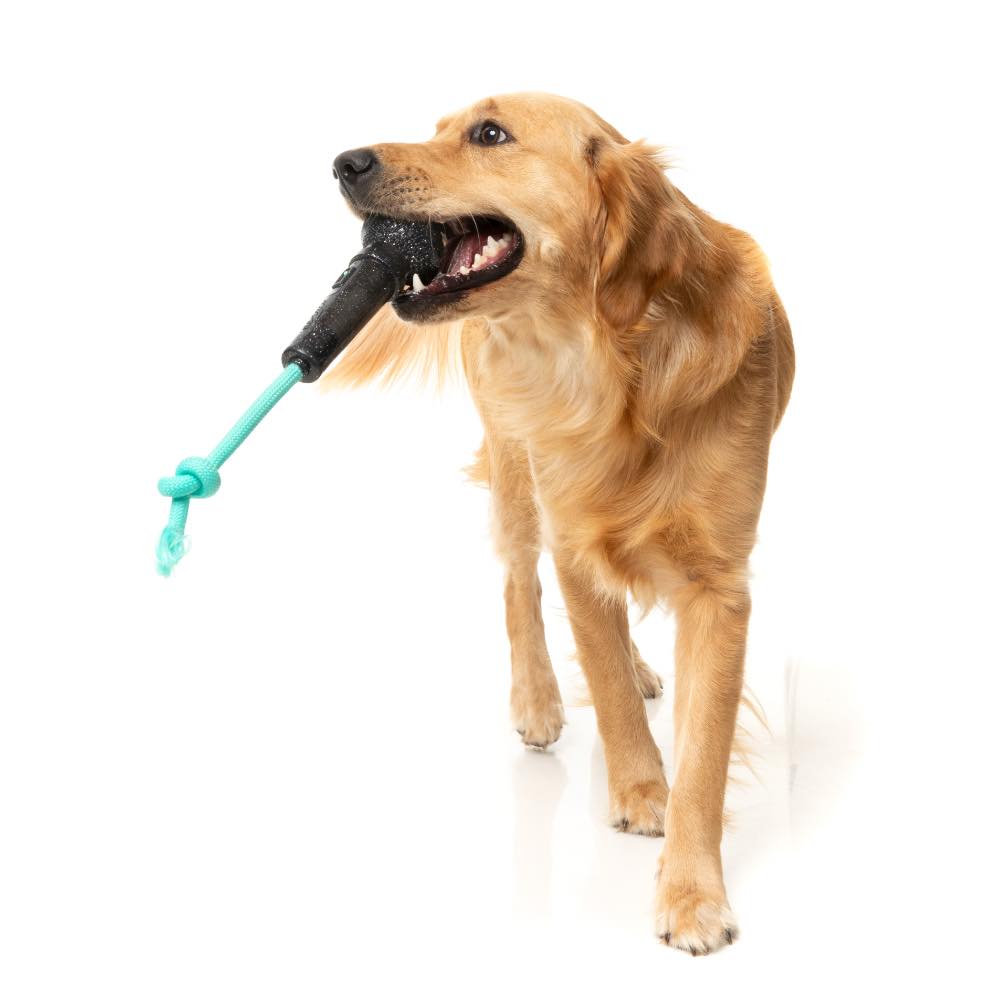 FuzzYard Mic Drop Interactive Dog Toy