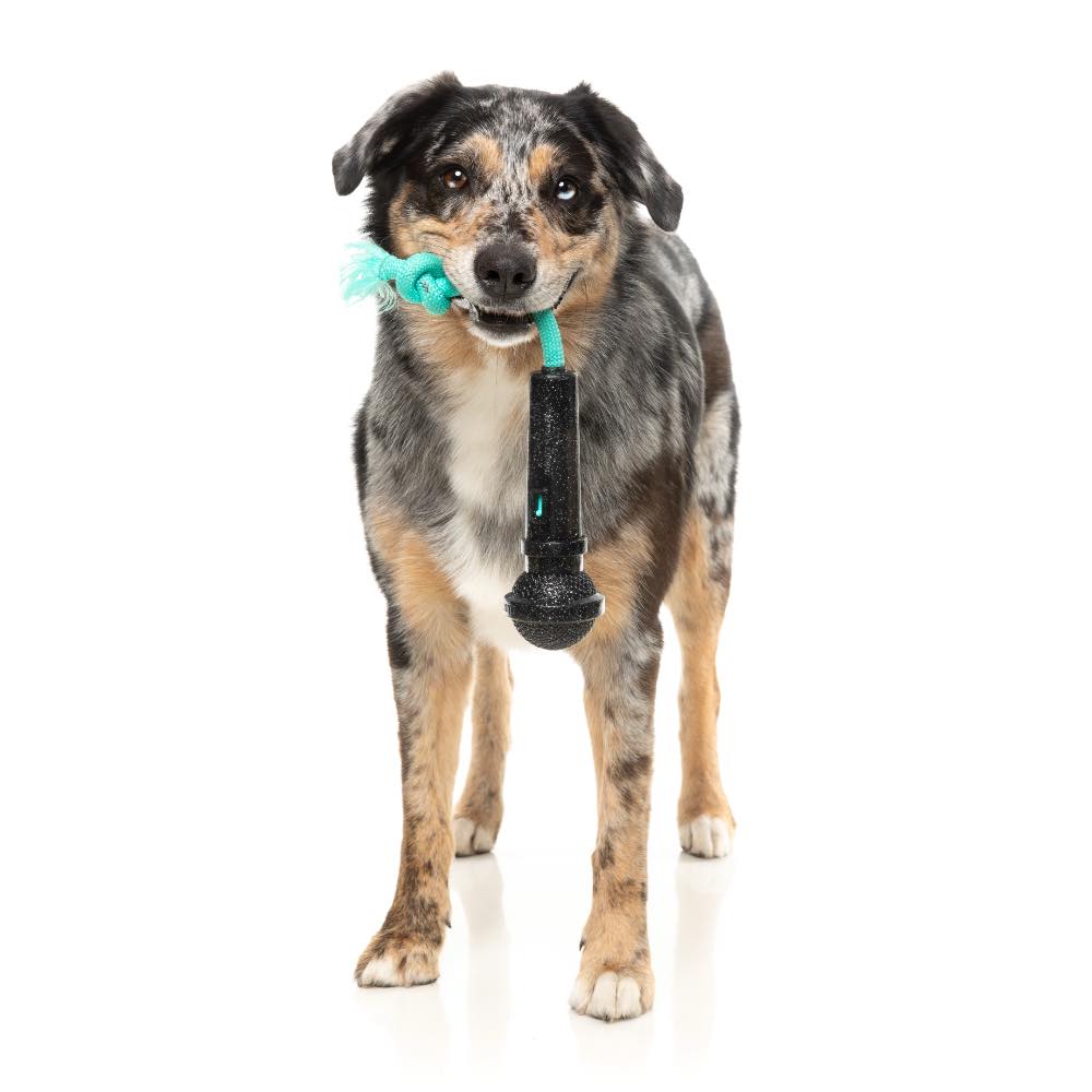 FuzzYard Mic Drop Interactive Dog Toy