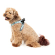 FuzzYard Mint Fizz Step-In Dog Harness