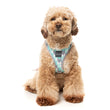 FuzzYard Mint Fizz Step-In Dog Harness