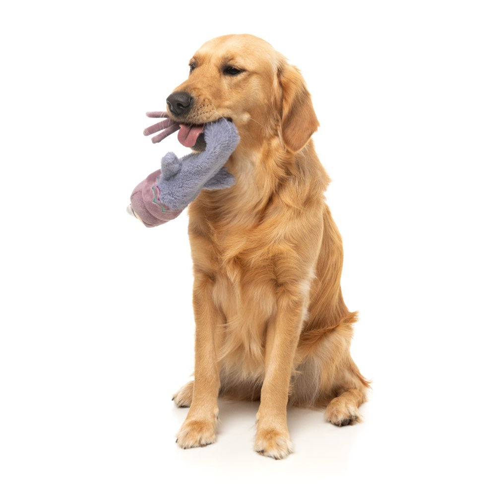 15% OFF: FuzzYard Peace Out Pigeon Dog Toy