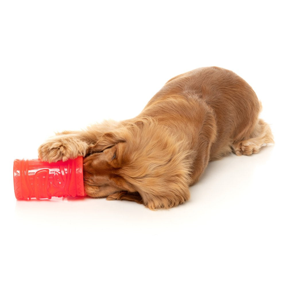 FuzzYard Pina Coolada Freeze Interactive Dog Toy