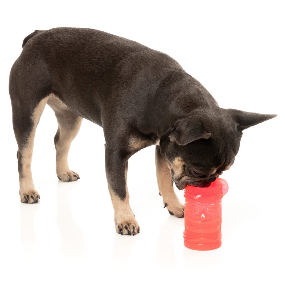 FuzzYard Pina Coolada Freeze Interactive Dog Toy