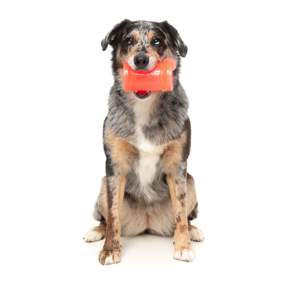 FuzzYard Pina Coolada Freeze Interactive Dog Toy