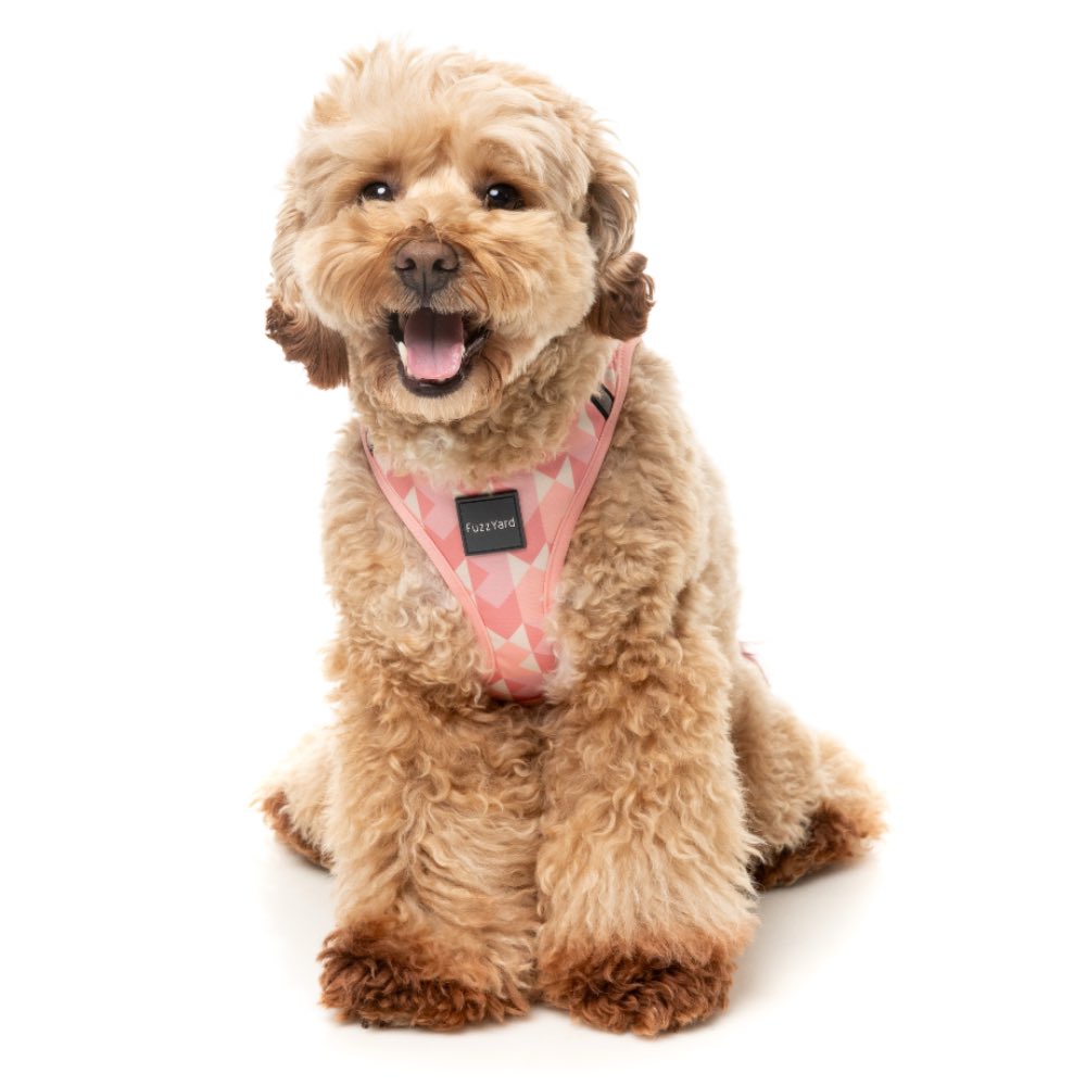 FuzzYard Pink Lemonade Step-In Dog Harness