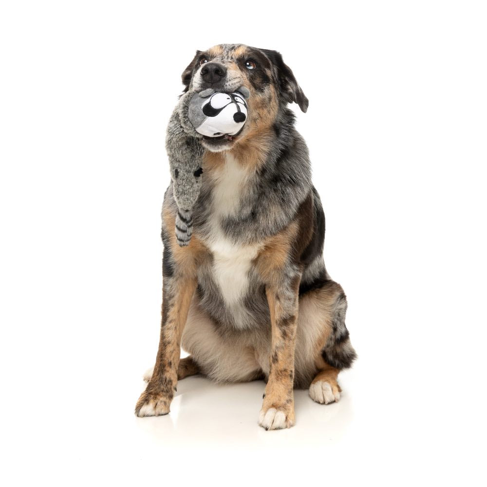 15% OFF: FuzzYard Run Along Raccoon Dog Toy