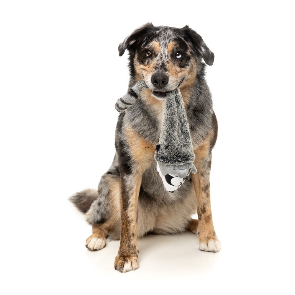 15% OFF: FuzzYard Run Along Raccoon Dog Toy