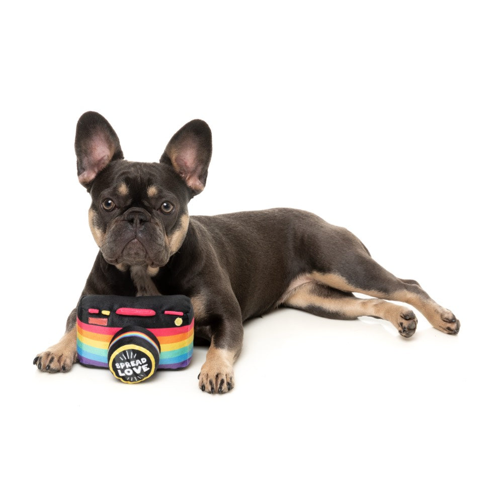 15% OFF: FuzzYard Spread Love Camera Dog Toy