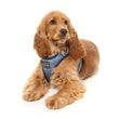 FuzzYard Thornbury Aegean Blue Step-In Dog Harness