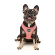FuzzYard Thornbury Brick Red Step-In Dog Harness