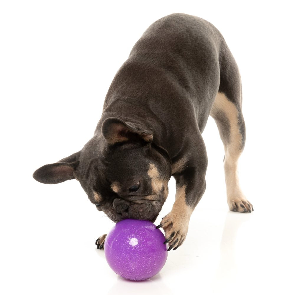 FuzzYard Truth Tellin' Interactive Treat Ball Dog Toy