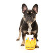 15% OFF: FuzzYard Yass Queen Crown Dog Toy