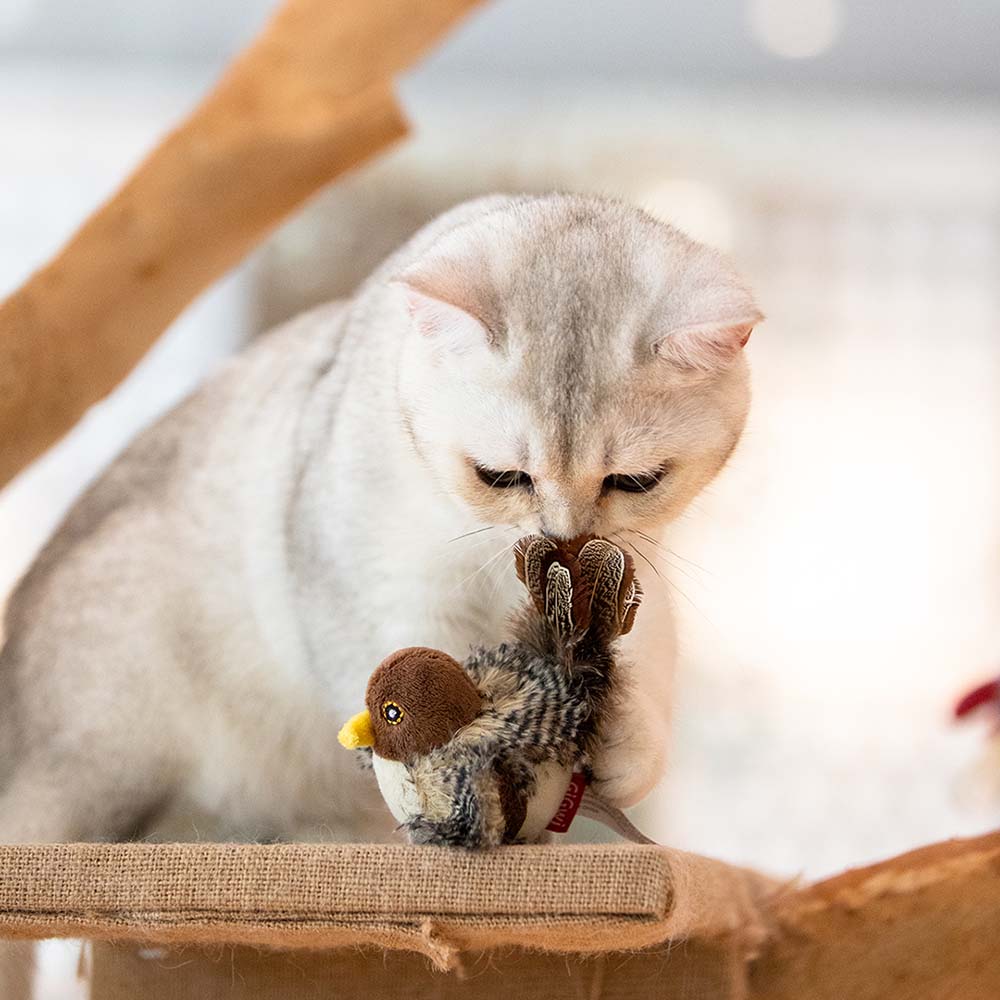 GiGwi Cat Toys — Keep Your Cat Entertained All Day Long!