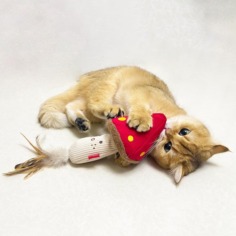 KOHE-VERSARY 10% OFF: GiGwi Meow Than 1 Catnip Plush Cat Toy (Mushroom Cap With Stem)
