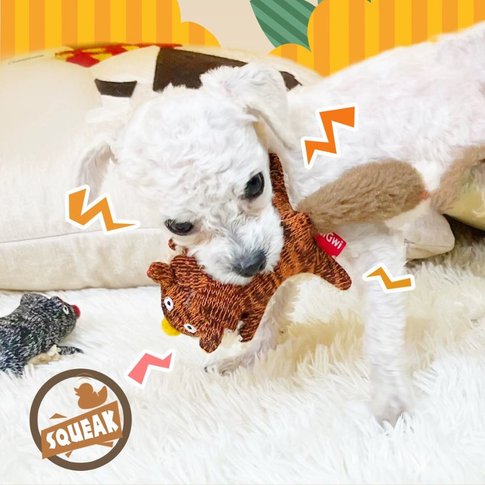 KOHE-VERSARY 10% OFF: GiGwi Plush Friendz Dog Toy (Racoon)