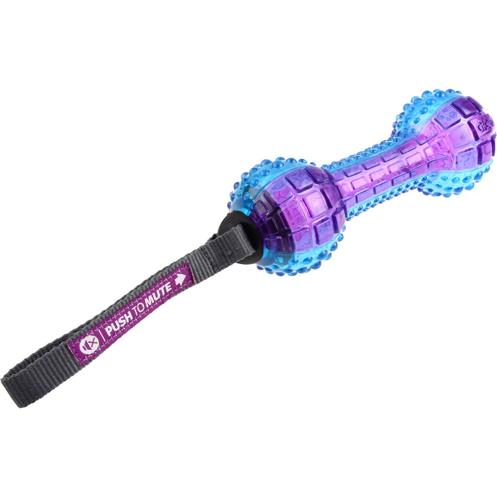 KOHE-VERSARY 10% OFF: GiGwi Push To Mute Dumbbell Dog Toy (Purple/Blue)