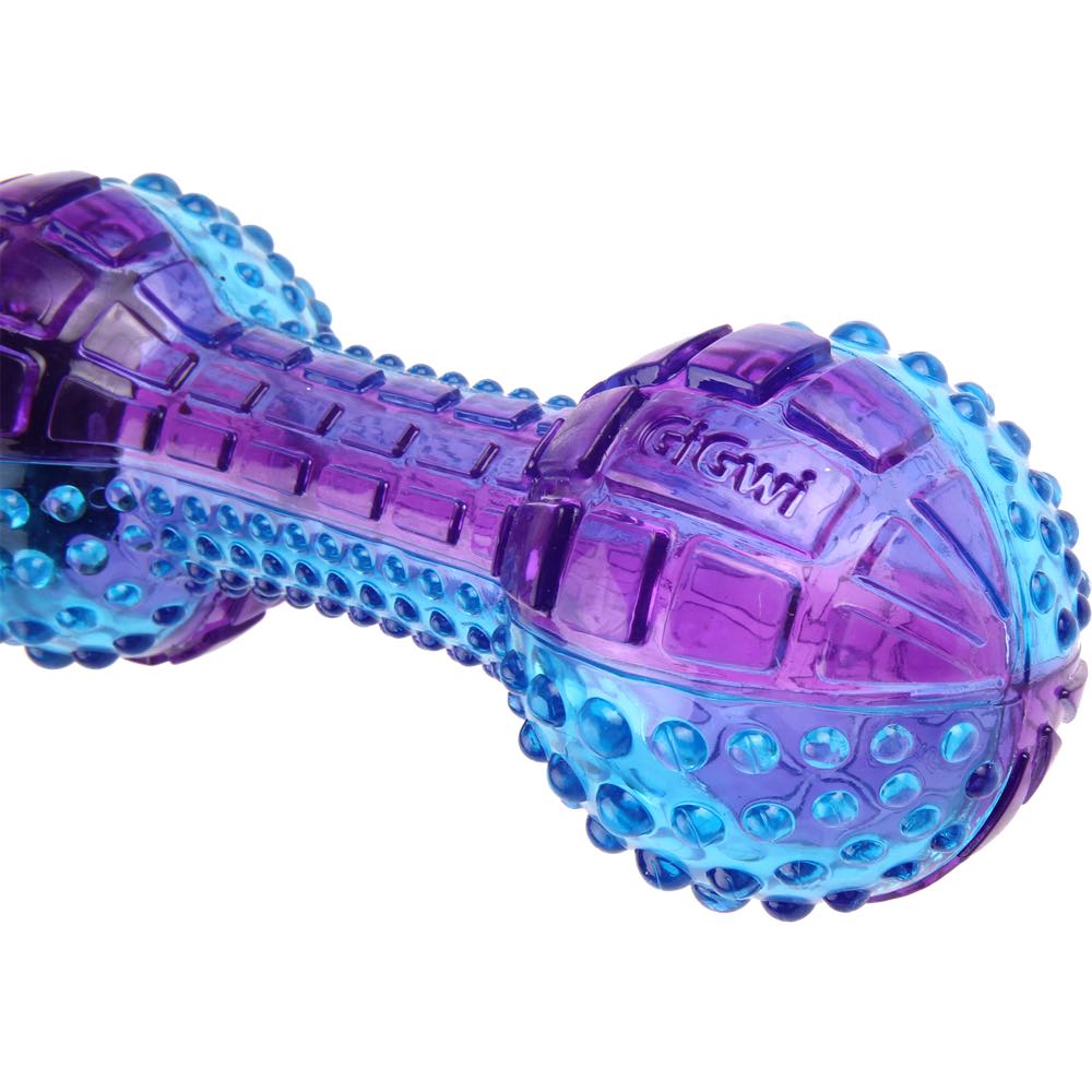 KOHE-VERSARY 10% OFF: GiGwi Push To Mute Dumbbell Dog Toy (Purple/Blue)