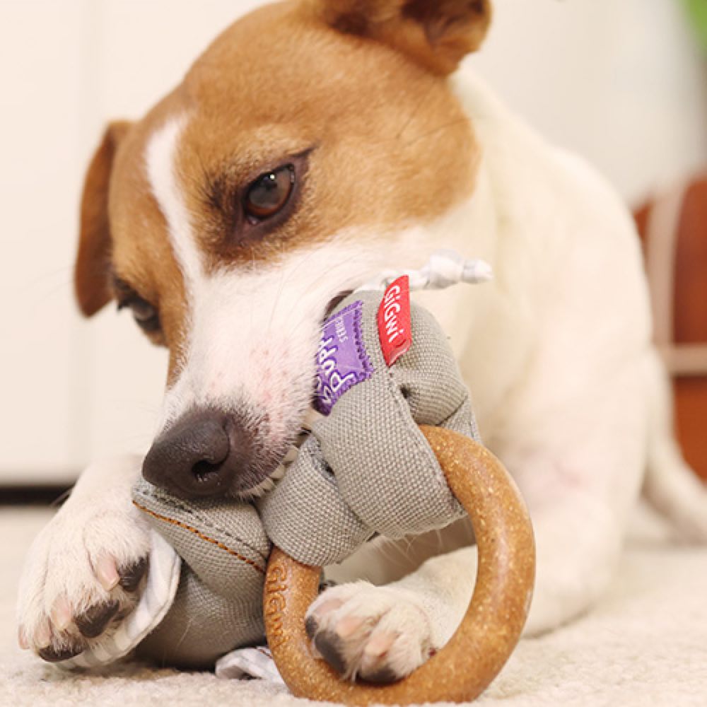 KOHE-VERSARY 10% OFF: GiGwi Suppa Puppa Wooden Ring Plush Dog Toy (Elephant)