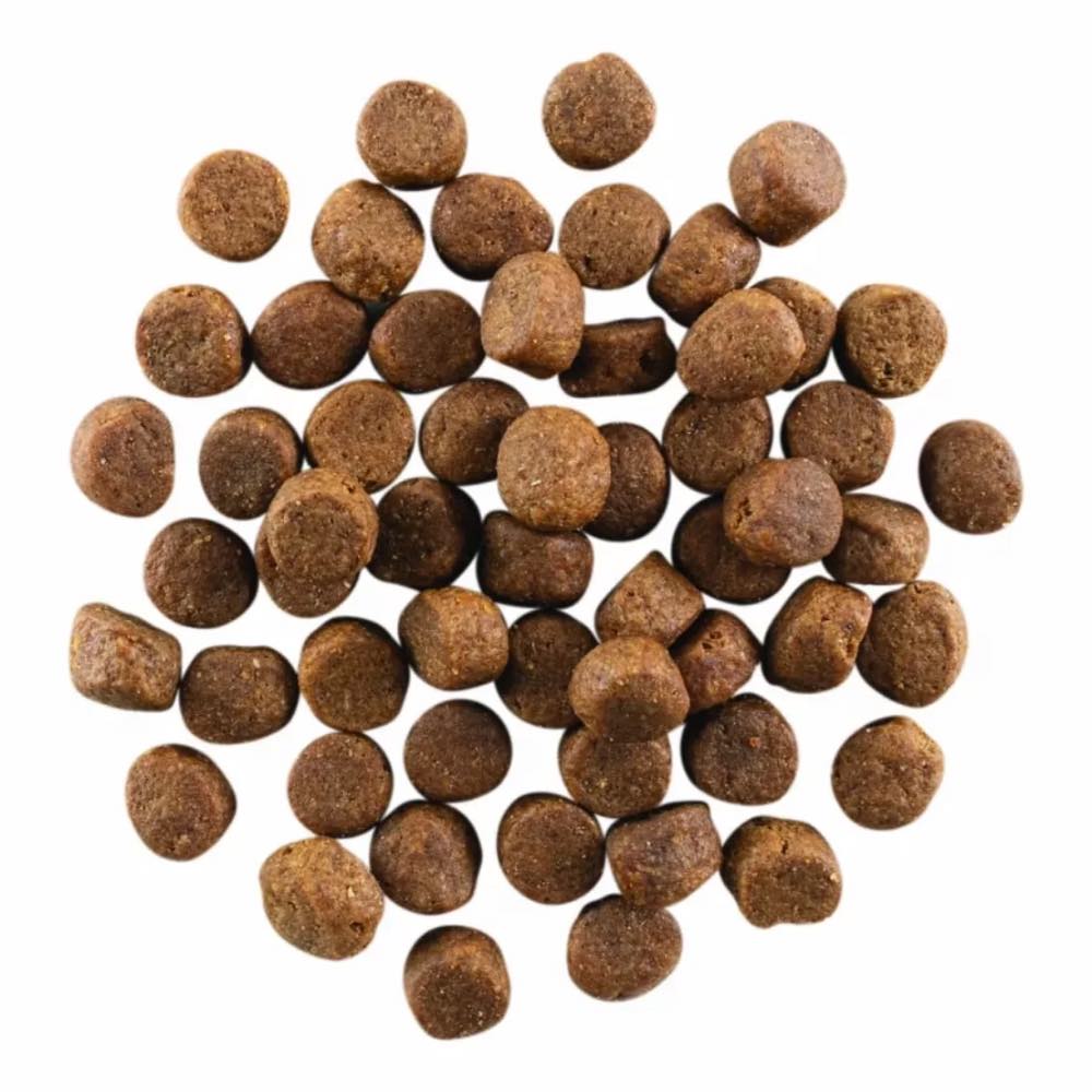 Go! Solutions Carnivore Grain Free Chicken, Turkey + Duck Adult Recipe Dry Dog Food 3.5lb