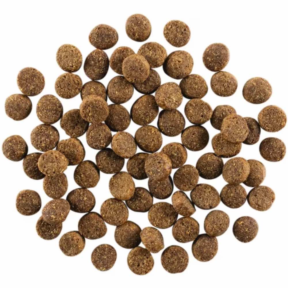 Go! Solutions Skin + Coat Chicken Recipe Dry Dog Food 3.5lb