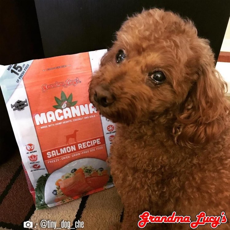 NEW! Grandma Lucy’s Macanna Freeze-Dried Dog Food