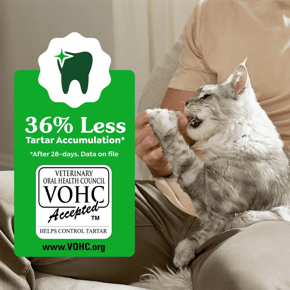 $2 OFF: Greenies Oven Roasted Chicken Flavor Dental Cat Treats 2.1oz