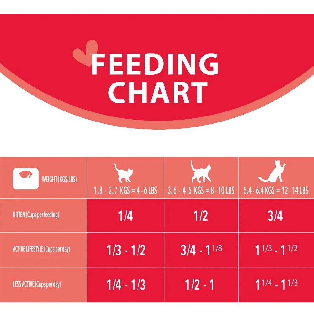 Harlow Blend Chicken & Salmon with Rice Dry Cat Food
