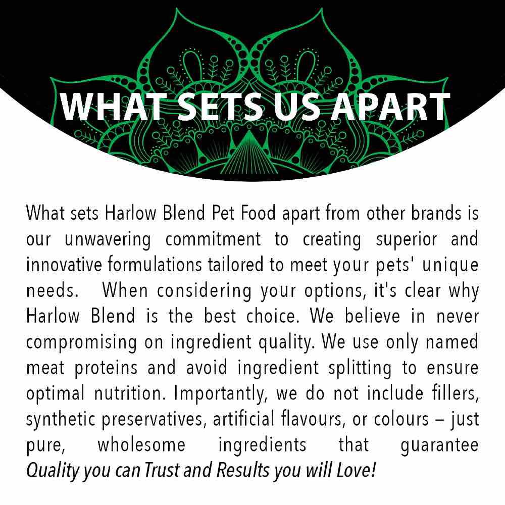 Harlow Blend Fish Fusion Grain-Free Dry Cat Food
