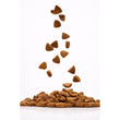 Harlow Blend Fish Fusion Grain-Free Dry Cat Food