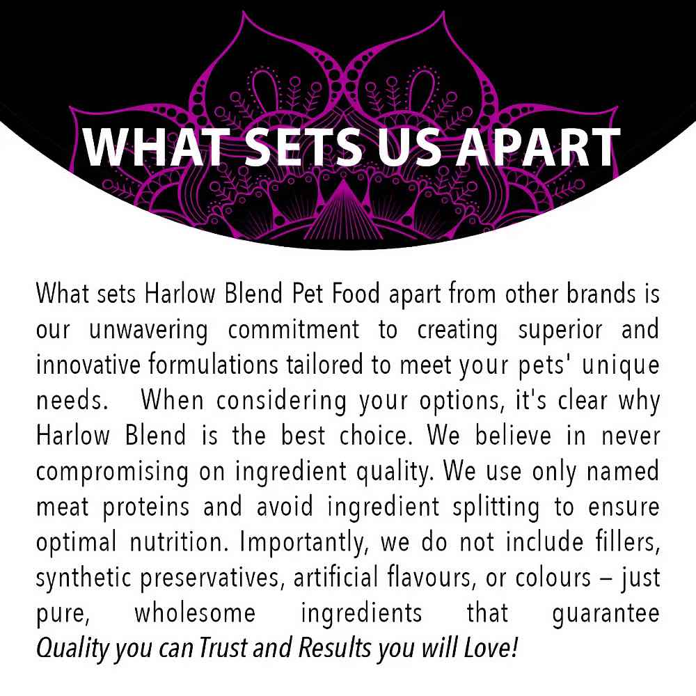 Harlow Blend Fish Fusion Grain-Free Dry Dog Food