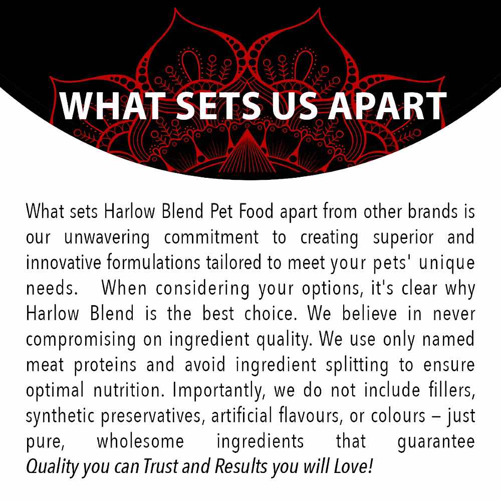 Harlow Blend Turkey Fusion Grain-Free Dry Cat Food