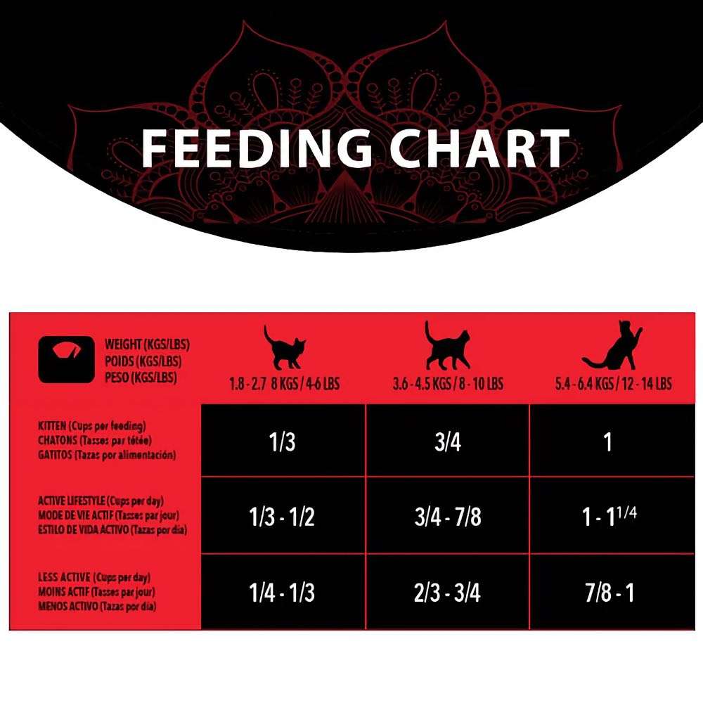 Harlow Blend Turkey Fusion Grain-Free Dry Cat Food