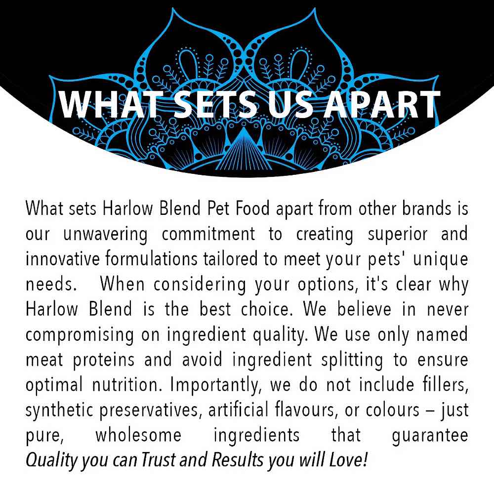 Harlow Blend Turkey Fusion Grain-Free Dry Dog Food