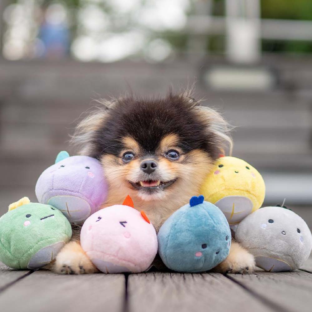Hey Cuzzies Mochi Interactive Dog Toys — Ideal For Puppies & Smaller Dogs!